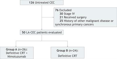 The Application of Nimotuzumab Combined With Definitive Chemoradiotherapy Toward the Treatment of Locally Advanced Cervical Esophageal Carcinoma: A Retrospective Study